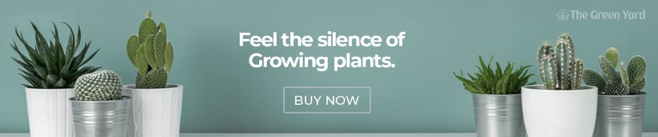  TheGreenYard Home Banner