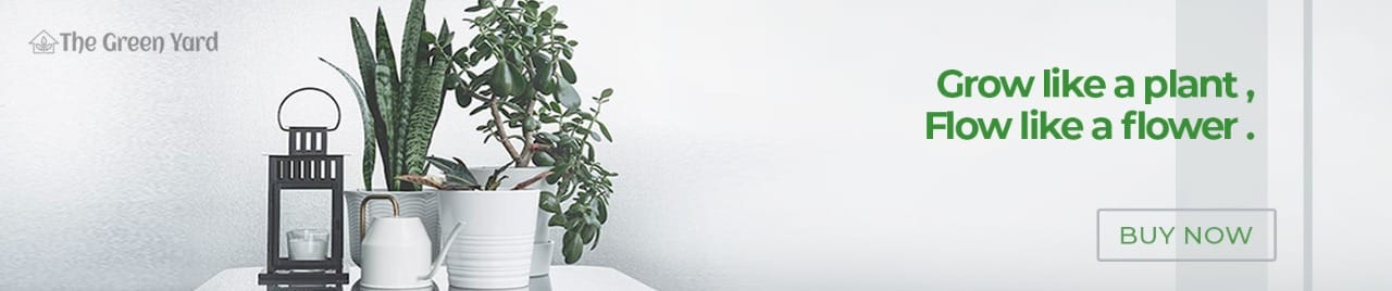  TheGreenYard Home Banner